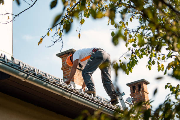 Best Roof Gutter Cleaning  in Toftrees, PA