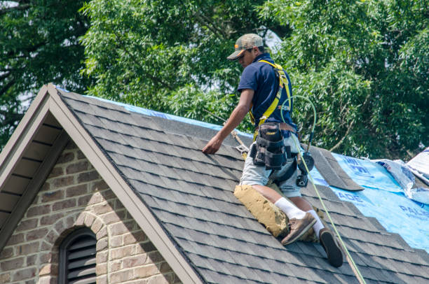Best Roof Gutter Cleaning  in Toftrees, PA